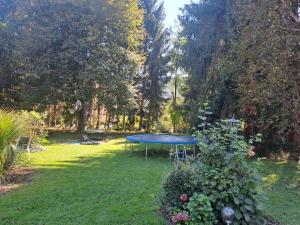 a blue table in the middle of a yard at Appartements Kubisko in Keutschach am See