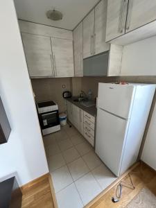Köök või kööginurk majutusasutuses Petrovac apartment