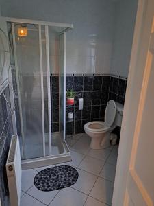 Vannituba majutusasutuses Mountain Widok Accommodation Only