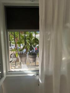una finestra con due piante in vaso su un balcone di White Apartment Athens ad Atene