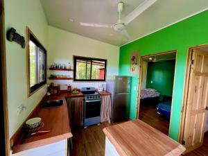 Η κουζίνα ή μικρή κουζίνα στο Casa Tucan +8 φωτογραφίες
