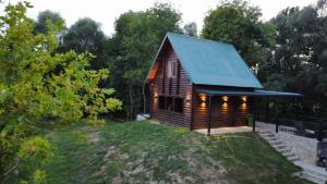 małą drewnianą kabinę z zielonym dachem w obiekcie Brvnara Plavnica 
