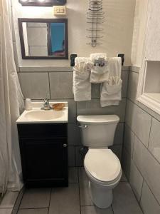 Hillcrist Motel في Aurora: حمام مع مرحاض ومغسلة ومرآة