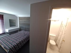 - une chambre avec un lit, des toilettes et une fenêtre dans l'établissement Auberge Le Dalton, à Trois Rives