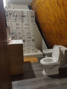 a bathroom with a toilet and a shower curtain at Loft de Montaña Único y Moderno in Esquel