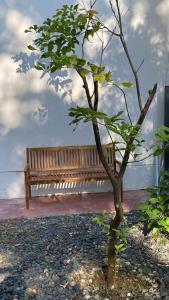 un banc en bois assis à côté d'un petit arbre dans l'établissement Casa Salima a Deiva Marina tra 5 Terre e Portofino, à Deiva Marina