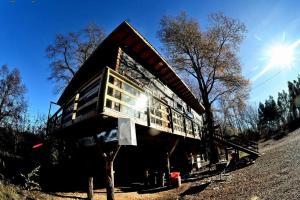 a house sitting on the side of a tree at Sendero del Zorro, Km 41,5 ruta N-55 in Chillán