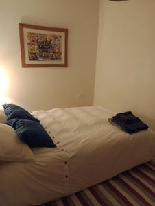 een slaapkamer met een wit bed en een blauw kussen bij Excelente casa de huspedes in Manuel B. Gonnet
