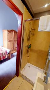uma casa de banho com um chuveiro e uma porta de vidro em Cader Mountain View Cottage with Hot Tub in Snowdonia em Dolgellau