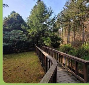 un puente de madera sobre un campo con árboles en A Four Leaf Clover House, en Namyangju