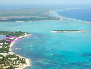 Conch Club Cottage