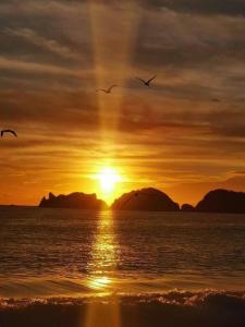 een groep vogels die bij zonsondergang over de oceaan vliegen bij CASA PLAYITA MELAQUE in San Patricio Melaque