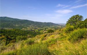 a view of a valley from a grassy hill at Cozy Home In Castiglion Fiorentino in Castiglion Fiorentino +12 photos