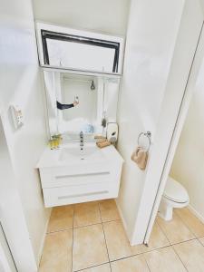 a bathroom with a sink and a mirror at Gothic Heights Motel in Christchurch