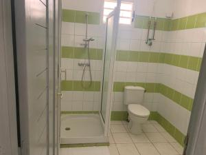łazienka z prysznicem, toaletą i wanną w obiekcie Les Roses Porcelaines w mieście Sainte-Rose