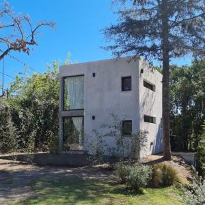 サルタにあるCabaña del Cedro Azul, San Lorenzoの前に木がある白い建物 +12枚の写真