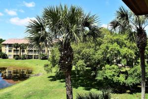 dos palmeras delante de una casa en 2bd/2bth Modern Condo on International Dr. w Pool ! Near Sea World and Universal, en Orlando