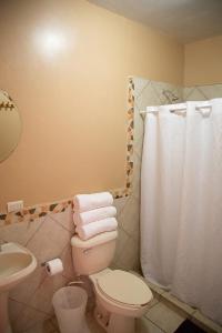a bathroom with a toilet and a shower curtain at Garimar Condominios en San Carlos in San Carlos