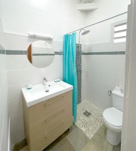 a bathroom with a sink and a toilet and a mirror at Casamango in Basse-Terre