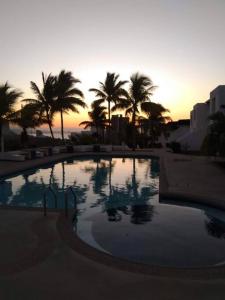 a large swimming pool with palm trees and the sunset at SUITE DENTRO DEL CLUB CASA BLANCA EN SAME in Volcán Chimborazo