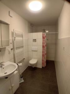 a bathroom with a toilet and a sink at Ferienwohnung am Dorfplatz in Waldkappel