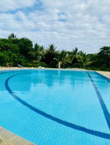 a large blue swimming pool with trees in the background at Waves & Wanderlust Haven in Diani Beach +20 photos