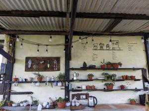 Ivy Coffee Farm - Garden House في Ðưc Trọng: غرفة بها رفوف من النباتات والأواني على الحائط