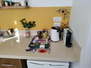 a kitchen counter with a coffee maker and a toaster at Mountainside experience in Amirim in Amirim