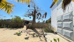 a motorcycle parked in a yard next to a tree at Harena Villa in Morondava