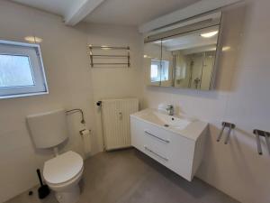 a bathroom with a toilet and a sink and a mirror at Haus Marie in Krummhörn