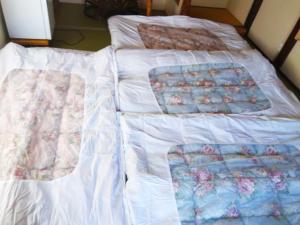 two beds sitting next to each other in a bedroom at 城東蔵ホテルにし乃 #LJ1 in Tuyama