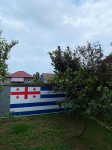 a flag painted on a wall next to a tree at Sun and Moon in Batumi