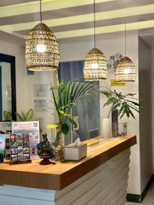 a store counter with pendant lights and plants on it at DENGI INN EL NIDO in El Nido