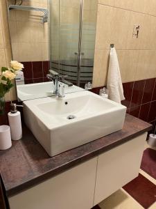 uma casa de banho com um lavatório branco e um espelho. em S1 Apartman em Szombathely