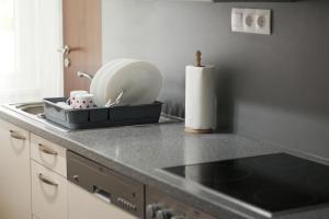 a kitchen counter with a sink and a roll of paper towels at S1 Apartman in Szombathely