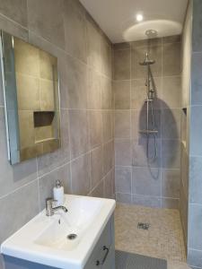 W łazience znajduje się umywalka i prysznic. w obiekcie Stable Hill House w Killarney