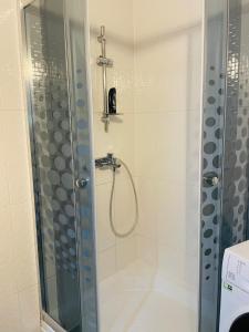 a bathroom with a shower with a glass shower curtain at Airplane Plaza in Otopeni
