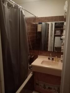 bagno con tenda per la doccia e lavandino di Logement tout confort Val d'Isere a Le Joseray