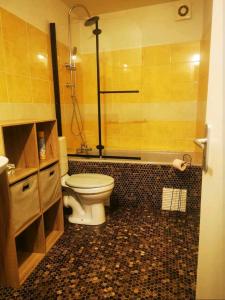 a bathroom with a toilet and a shower at Appartement Lauzet-Ubaye in Le Lauzet-Ubaye