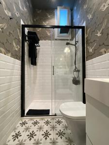 ein Bad mit einer Dusche und einem WC in der Unterkunft Casa Colonial El Indiano in Las Palmas de Gran Canaria