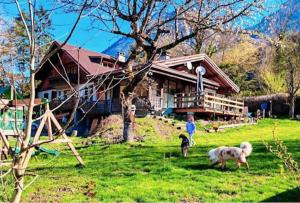 Zahrada ubytování les loges de l'Arpenaz + 25 fotografií