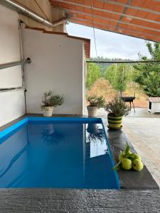 a swimming pool in the middle of a house at Casa Vicente in Lamego