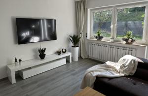 a living room with a flat screen tv on a wall at Nollywood-Apartment in Rheinfelden