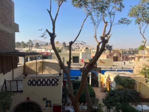 een boom in het midden van een stad met een gebouw bij Elphardous Hotel in Luxor