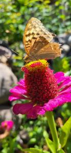 Photo de la galerie de l'établissement Hin Tun, à Artabuynkʼ
