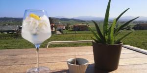 a wine glass sitting on a table next to a plant at Langre Wayve House in Langre