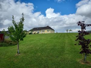 Aed väljaspool majutusasutust Tullaleagan Guesthouse