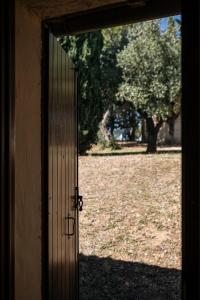 Φωτογραφία από το άλμπουμ του Tenuta Querce Grosse- Le Dimore σε Francavilla al Mare