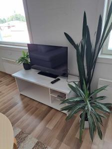 a living room with a tv and a plant on a table at Lägenhet Nybrovägen in Lapväärtti