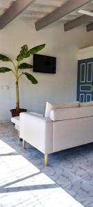 una sala de estar con 2 sofás blancos y una planta en Flamingo résidence, en Toliara